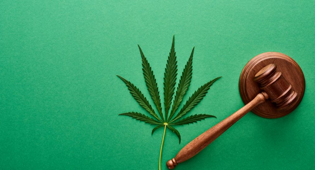 Symbolbild: Cannabis